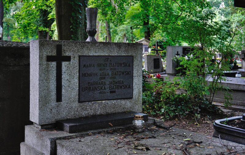 ORLĘ LWOWSKIE, A PÓŹNIEJ ZNAKOMITY HISTORYK